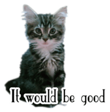 Picture of the kitten English version sticker #13487265