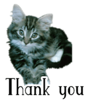 Picture of the kitten English version sticker #13487267