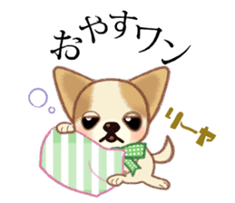 Chihuahua & Toy Poodle sticker #13488503