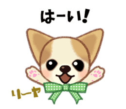 Chihuahua & Toy Poodle sticker #13488506