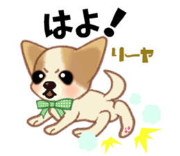 Chihuahua & Toy Poodle sticker #13488508