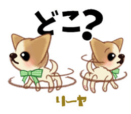 Chihuahua & Toy Poodle sticker #13488509