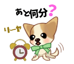 Chihuahua & Toy Poodle sticker #13488510