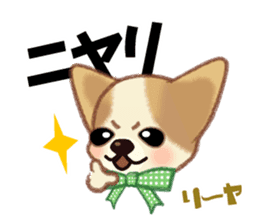 Chihuahua & Toy Poodle sticker #13488513