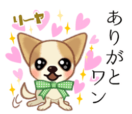 Chihuahua & Toy Poodle sticker #13488515