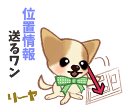Chihuahua & Toy Poodle sticker #13488516