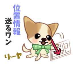 Chihuahua & Toy Poodle sticker #13488516