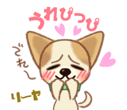 Chihuahua & Toy Poodle sticker #13488517