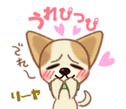 Chihuahua & Toy Poodle sticker #13488517