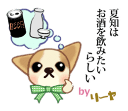 Chihuahua & Toy Poodle sticker #13488520