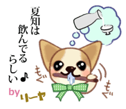 Chihuahua & Toy Poodle sticker #13488521