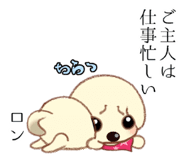 Chihuahua & Toy Poodle sticker #13488526