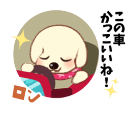 Chihuahua & Toy Poodle sticker #13488528
