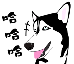 Funny Huskies sticker #13488743