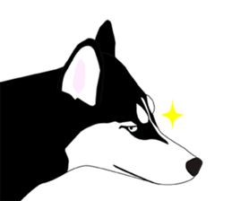 Funny Huskies sticker #13488744