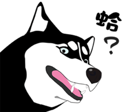 Funny Huskies sticker #13488745