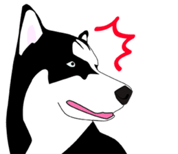 Funny Huskies sticker #13488753