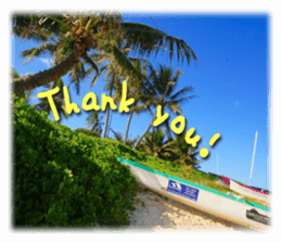 Stickers of Hawaii sticker #13489617