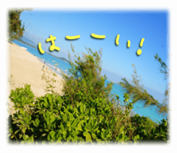 Stickers of Hawaii sticker #13489622