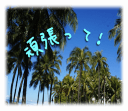 Stickers of Hawaii sticker #13489625