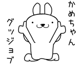 kamechan send Sticker sticker #13490327