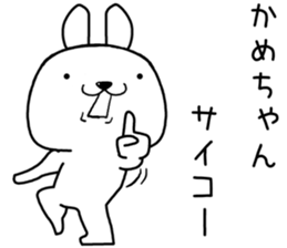 kamechan send Sticker sticker #13490333