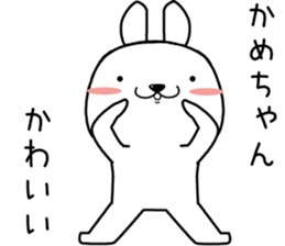 kamechan send Sticker sticker #13490338