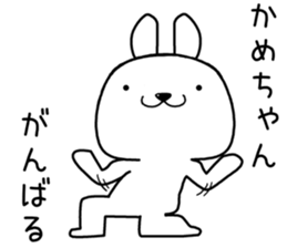 kamechan send Sticker sticker #13490355