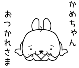 kamechan send Sticker sticker #13490362