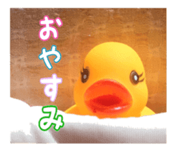 Duck weather sticker #13490512