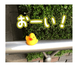 Duck weather sticker #13490516