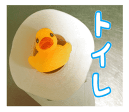 Duck weather sticker #13490517