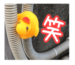 Duck weather sticker #13490521