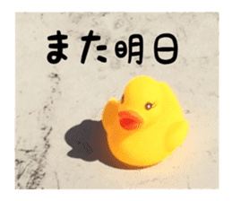Duck weather sticker #13490527