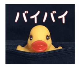 Duck weather sticker #13490528