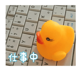 Duck weather sticker #13490534