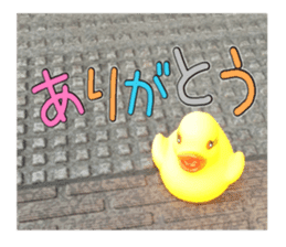 Duck weather sticker #13490536
