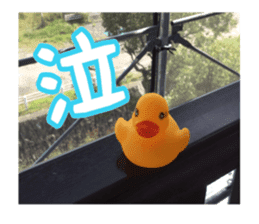 Duck weather sticker #13490540