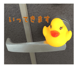Duck weather sticker #13490541