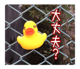 Duck weather sticker #13490544