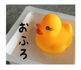 Duck weather sticker #13490546