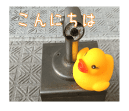 Duck weather sticker #13490548