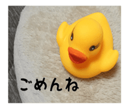 Duck weather sticker #13490549
