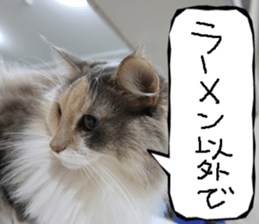 Instead tell the cat part3 sticker #13490551