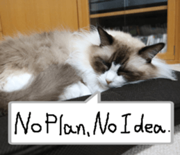 Instead tell the cat part3 sticker #13490554