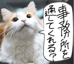 Instead tell the cat part3 sticker #13490560