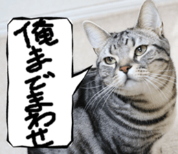 Instead tell the cat part3 sticker #13490563