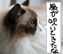 Instead tell the cat part3 sticker #13490566