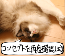 Instead tell the cat part3 sticker #13490567