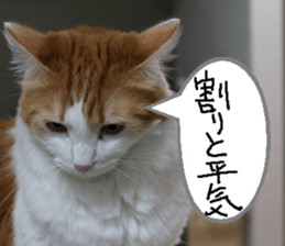 Instead tell the cat part3 sticker #13490569